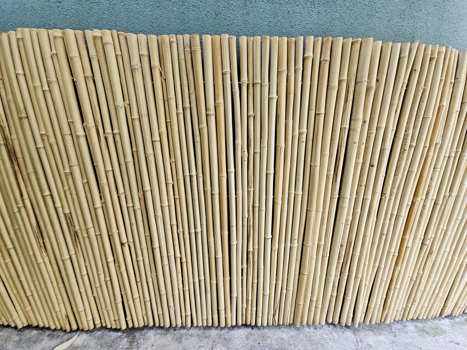 Dried and treated bamboo poles lined up side by side against a wall